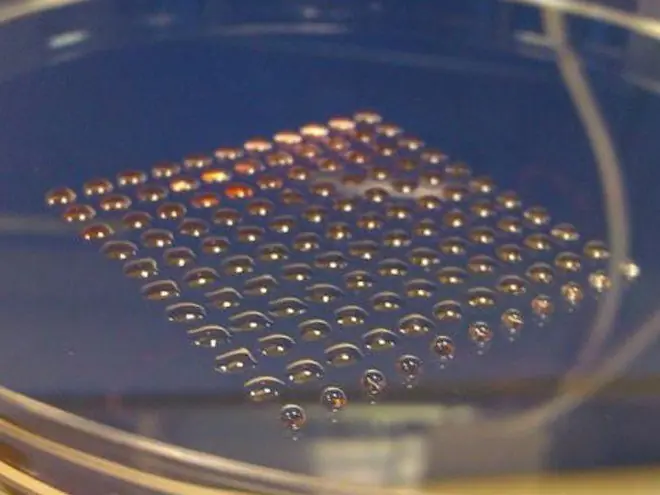 Aplicaciones de la impresion 3D en el area de la medicina