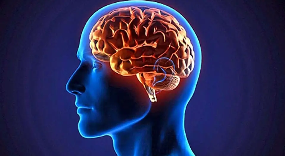 Que edad tiene tu cerebro? Pasa Lince y Comenta el resultado