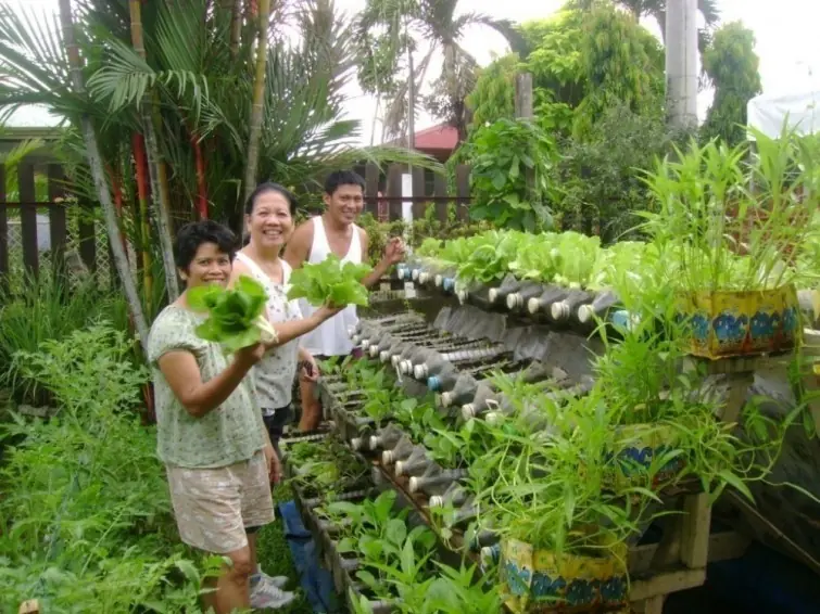 17 ideas para construir jardines verticales