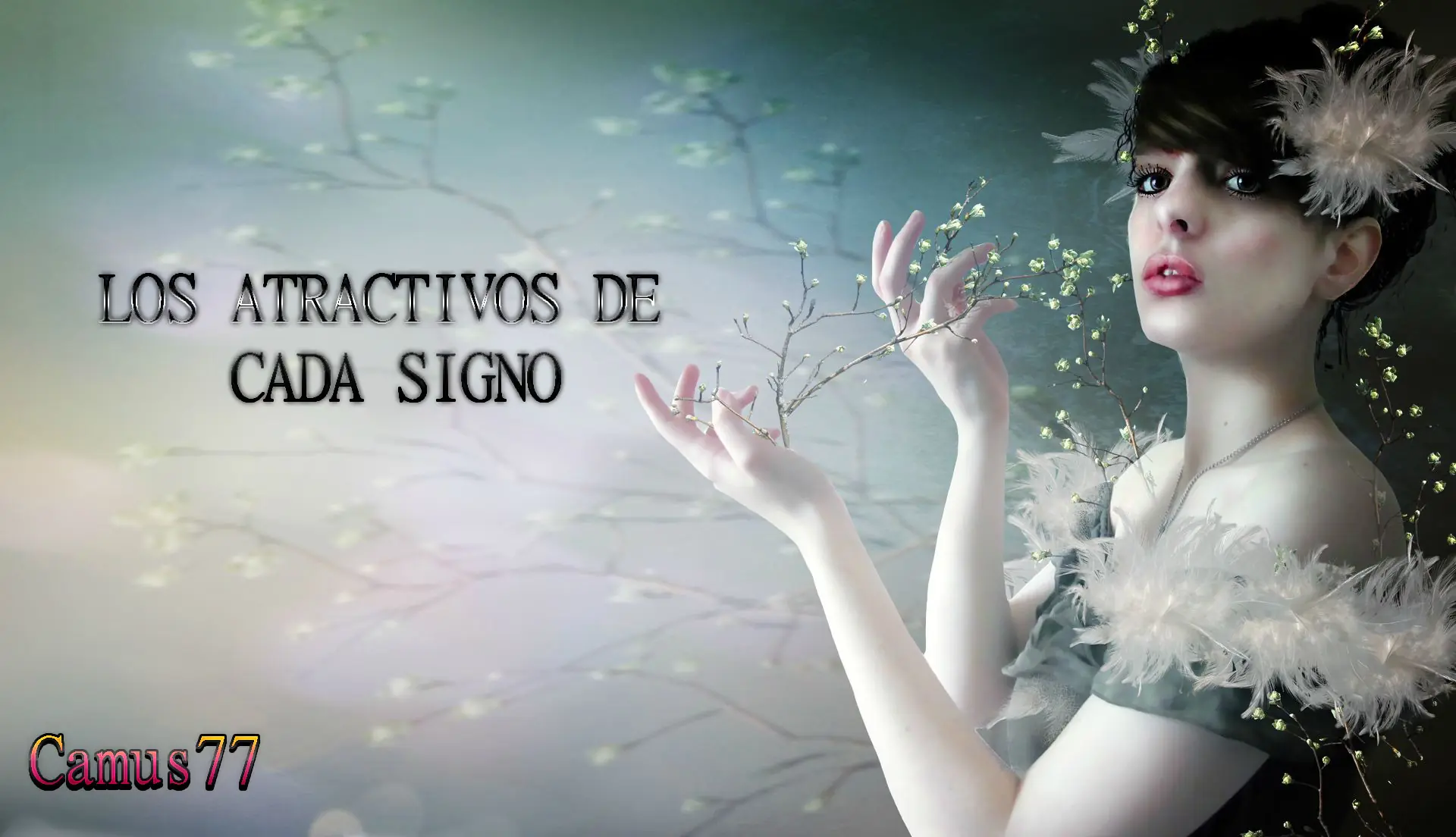 Los Atractivos de cada signo