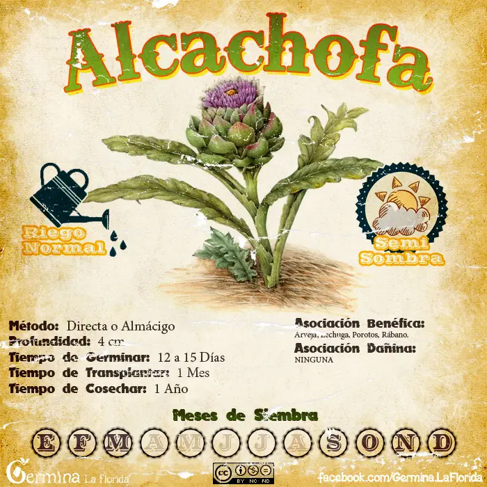 Calendario