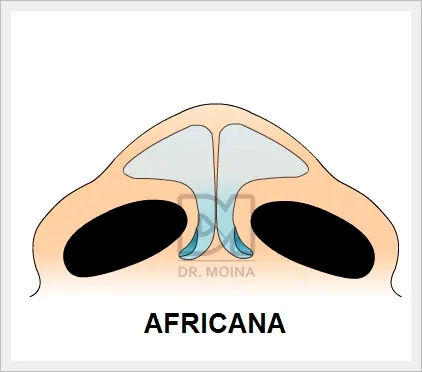 cultura