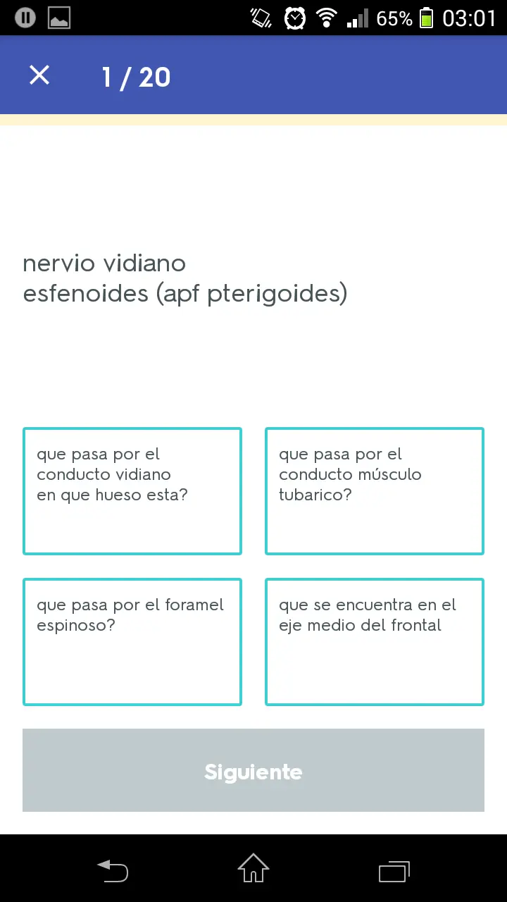 idiomas