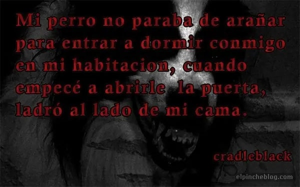 terror
