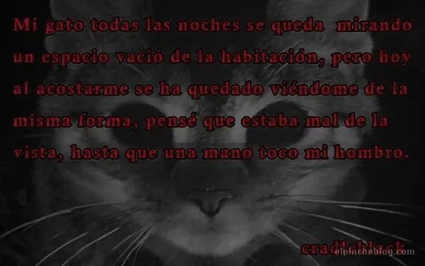 susto