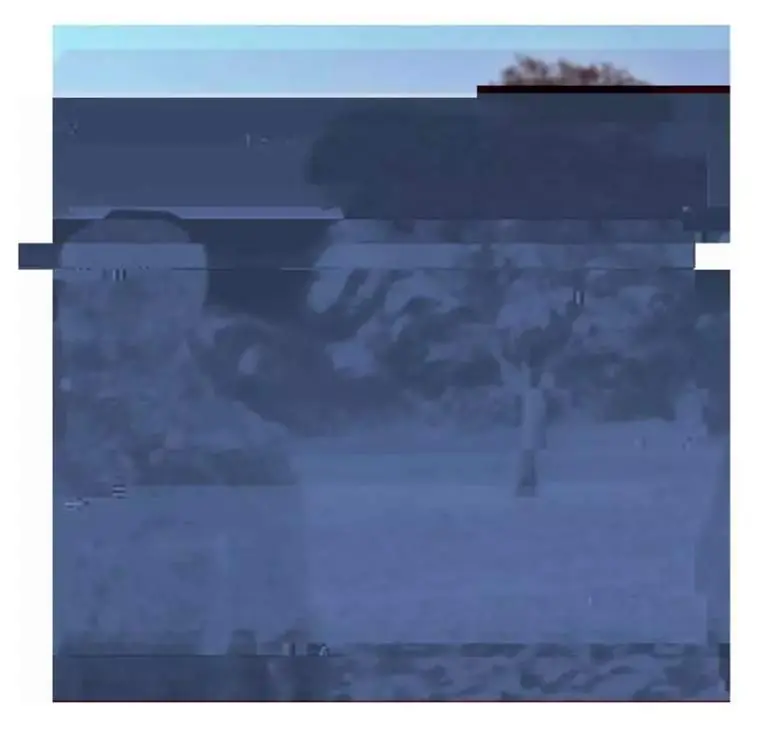 Foto: prueba de extraterrestres aparece en 4chan