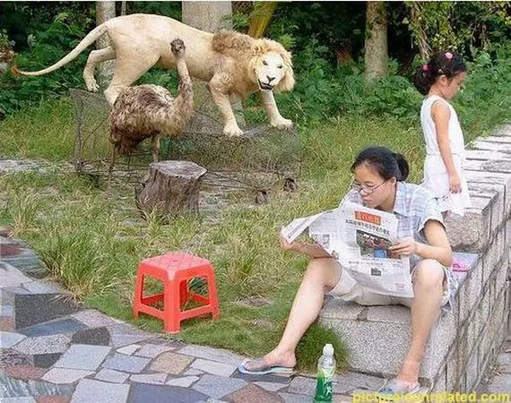 humor humor