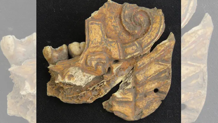 Pobladores de una antigua civilización mexicana utilizaban c