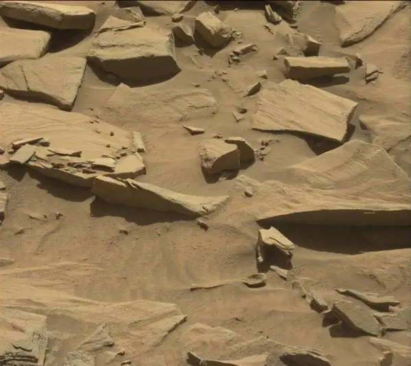 ¿Una prueba de vida en Marte? La Nasa descubre un objeto