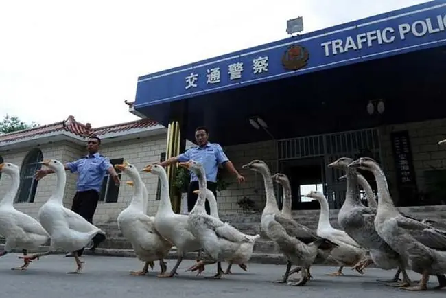 23 curiosidades de China