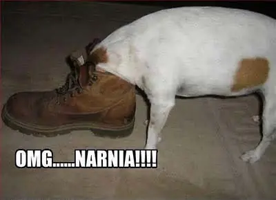 imagenes imagenes
