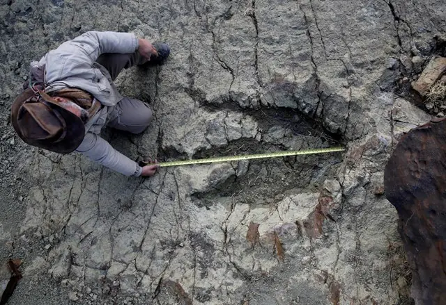 Los dinosaurios son una mentira y te lo muestro