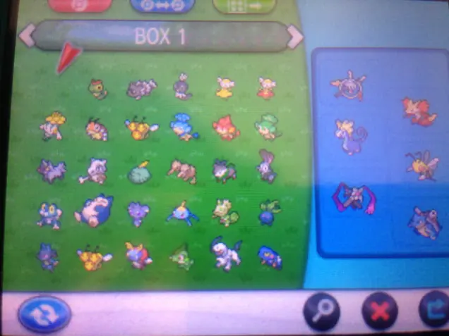 pokemon