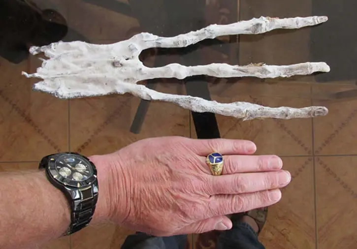 Misteriosa mano de tres dedos en Perú