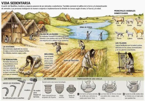 neolitico
