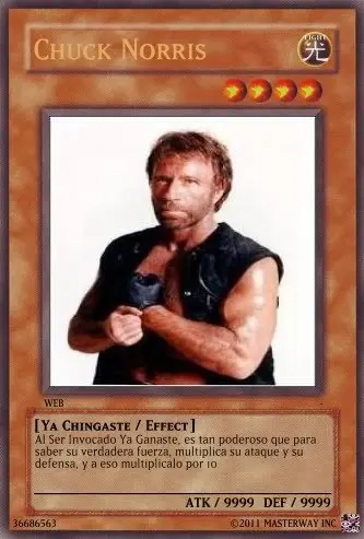 equisde