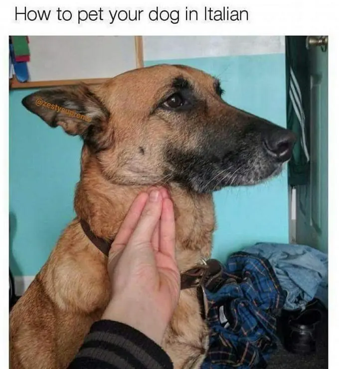 how italians
