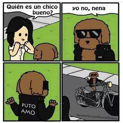 imagenes