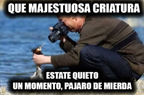 risas