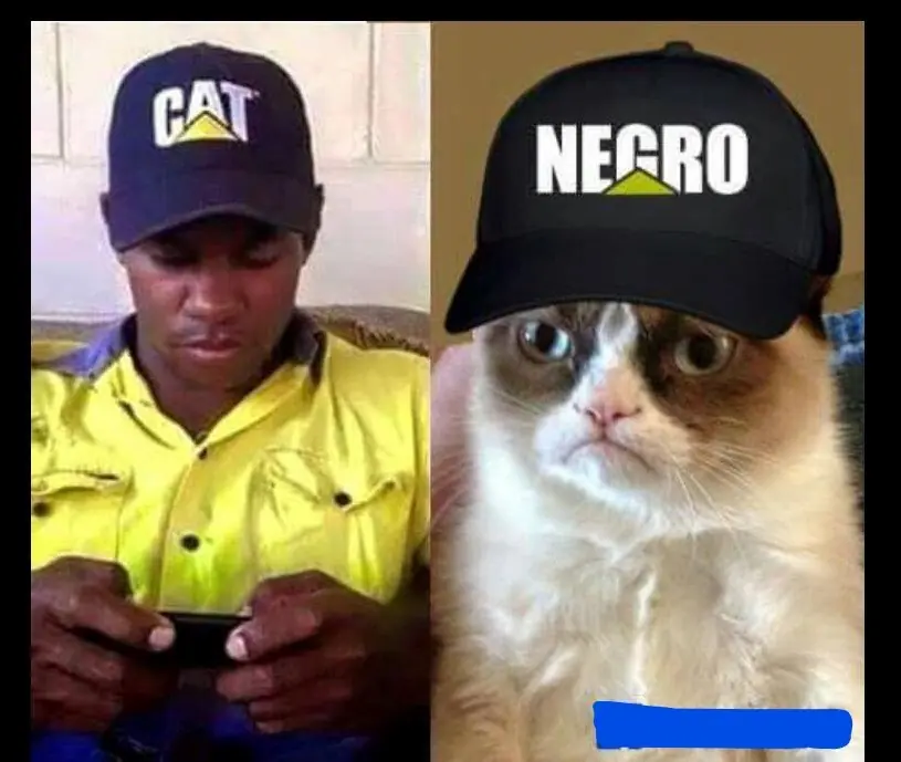 meme
