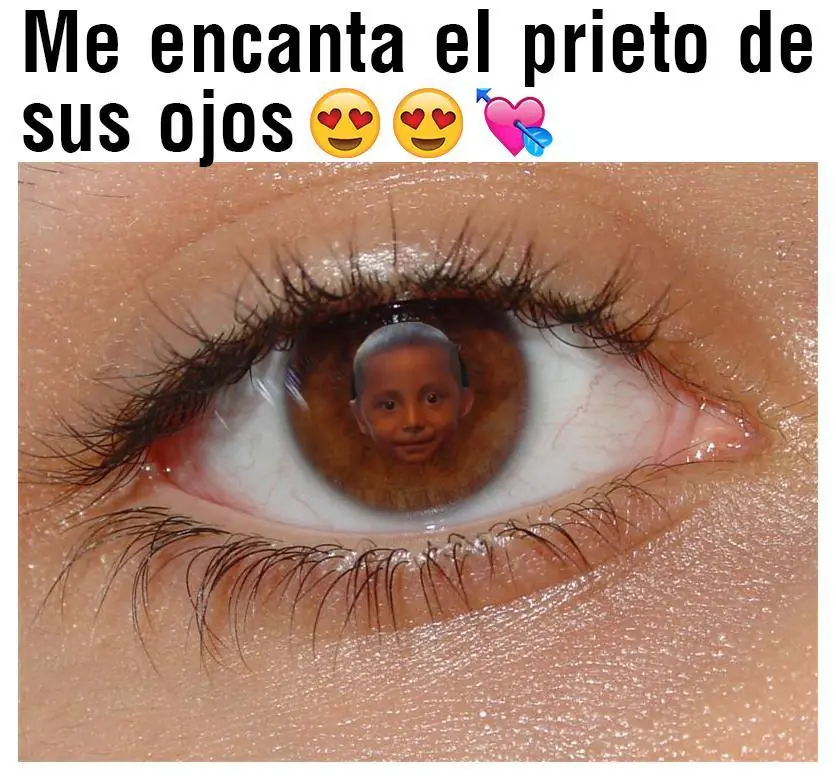 humor taringuero