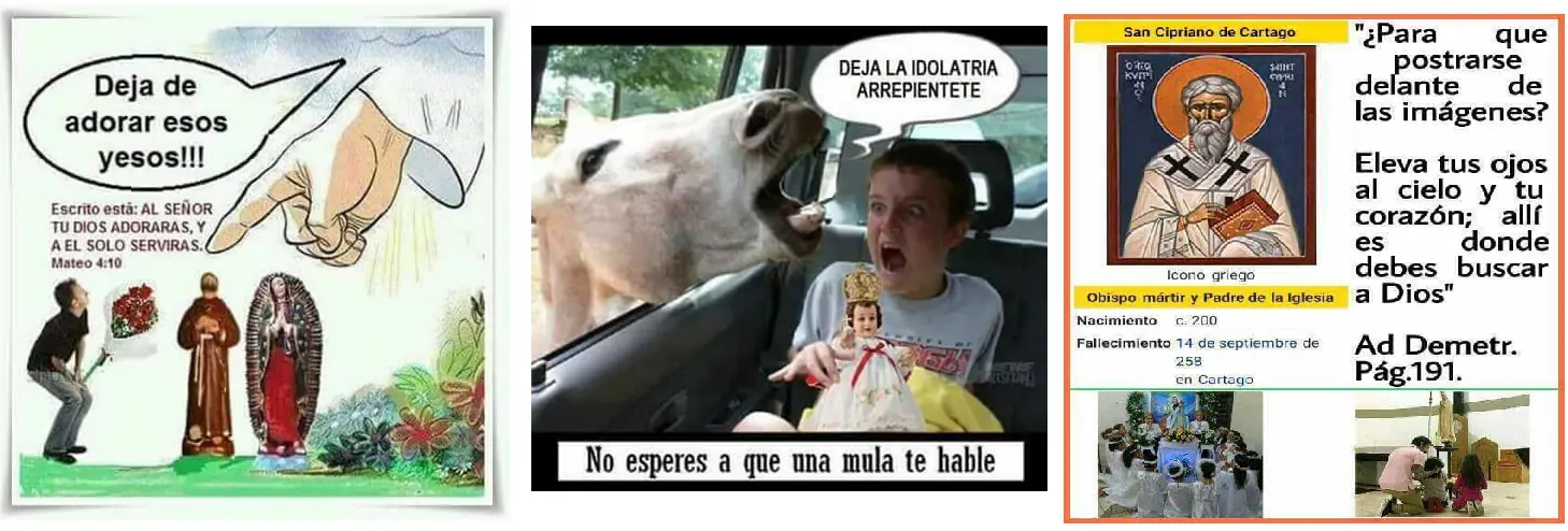 para publicar