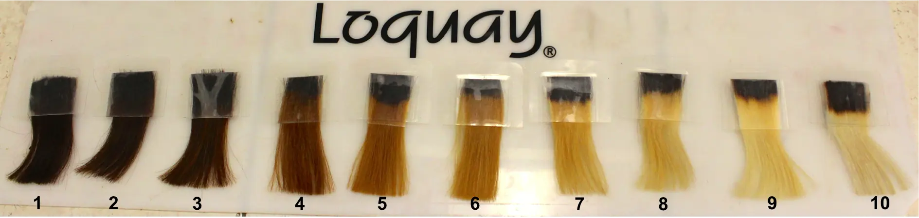 pelo