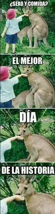 reir
