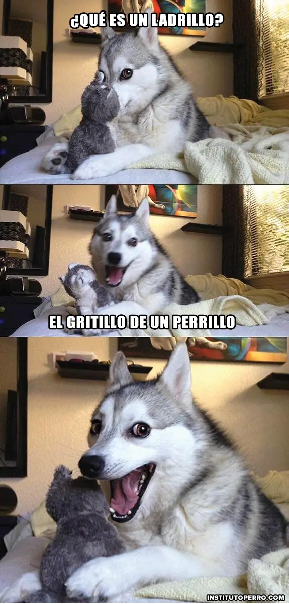 de perro
