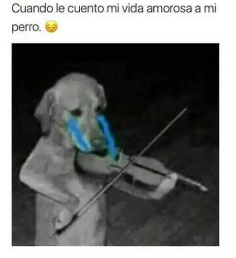 memes