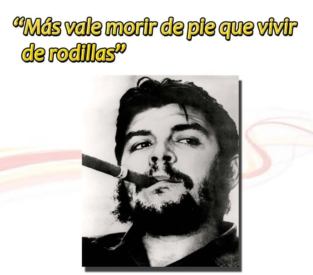 pelota