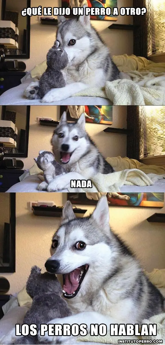 Chistes