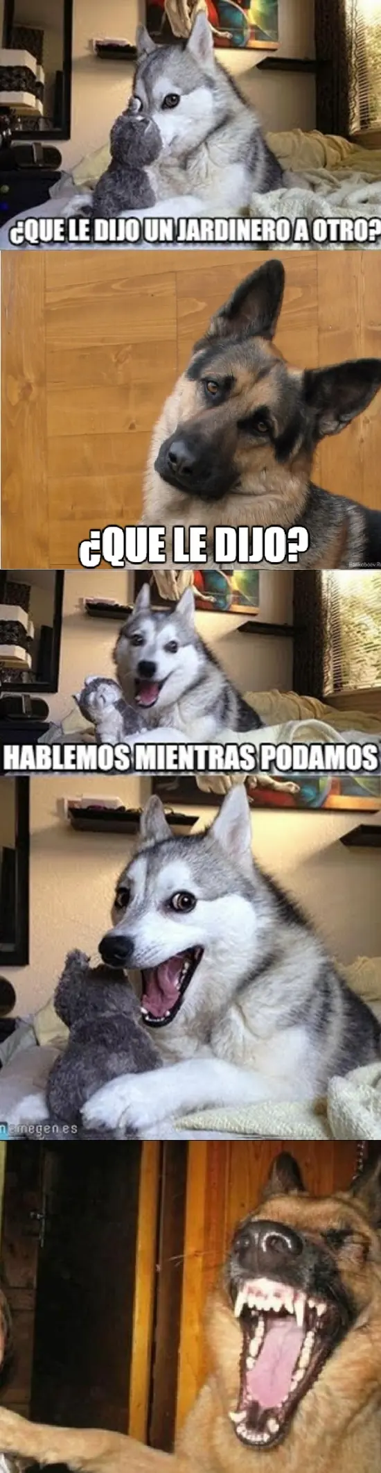 Chistes