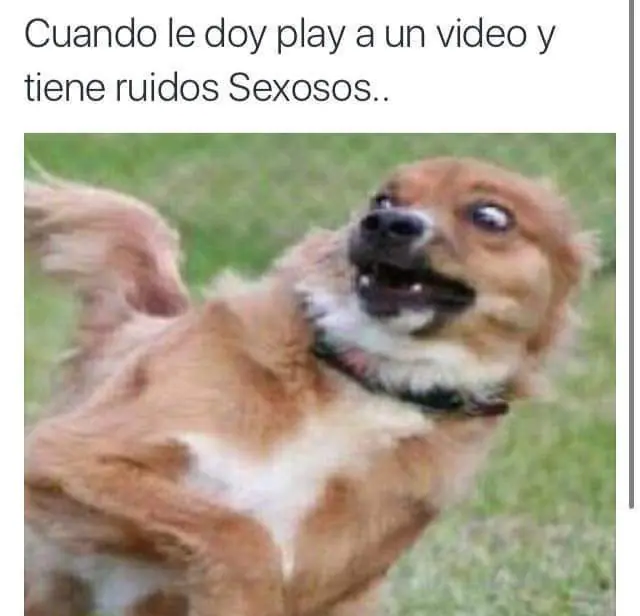 risa memes risa memes