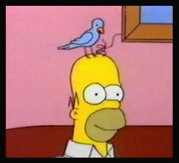Los Dichos mas conocidos y sus significados! Los Dichos mas conocidos y sus significados!