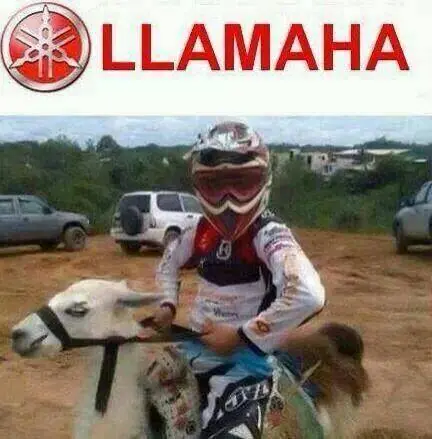 imagenes