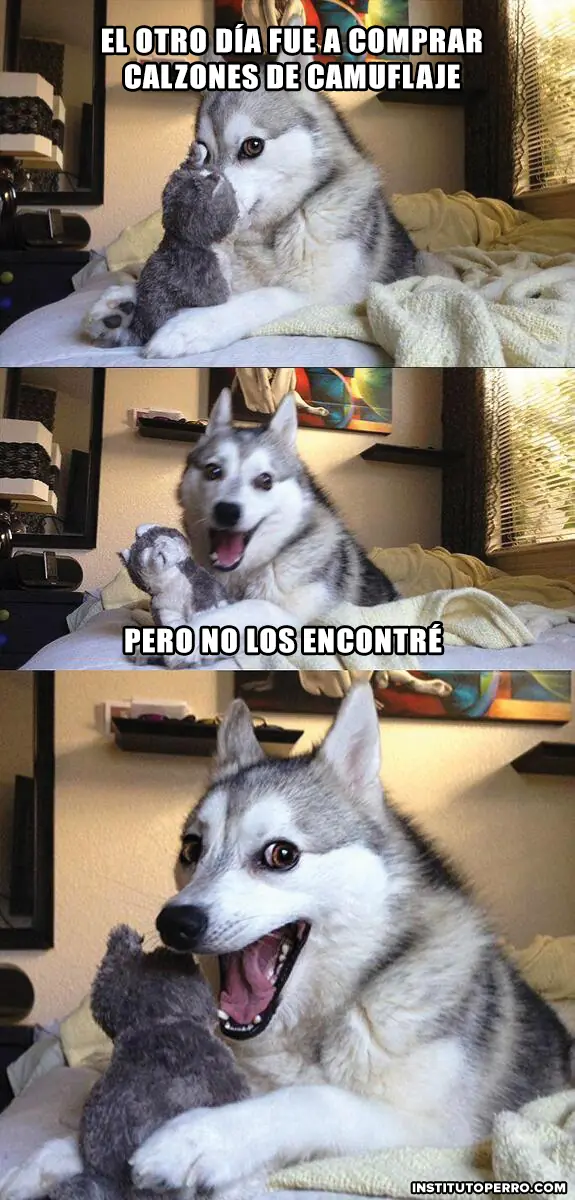 de perro