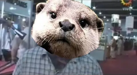 linces linces