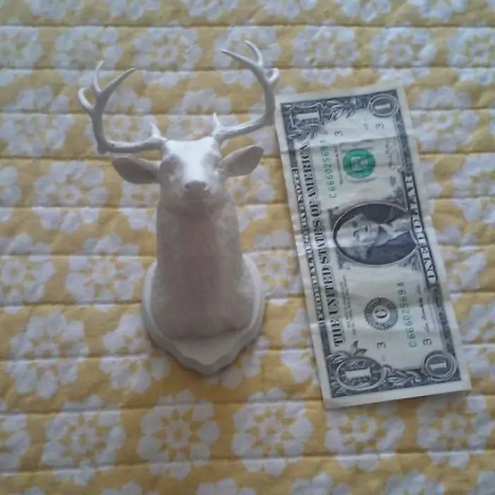 comprar