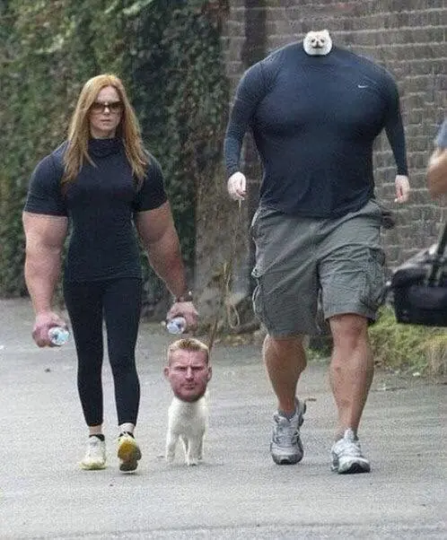imagenes de humor