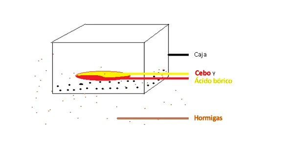 hormigas