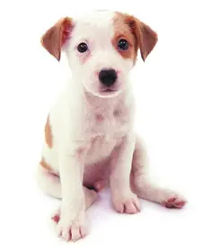 3 Pasos Para Aceptarte A Ti Mismo Y Aumentar Tu Autoestima