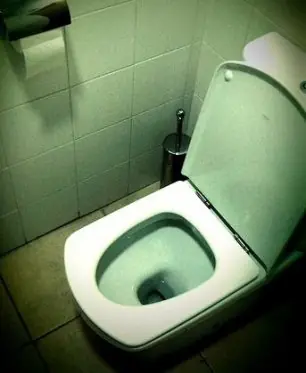 La mujer que explotó un baño para matar una cucaracha