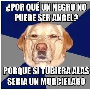 chiste