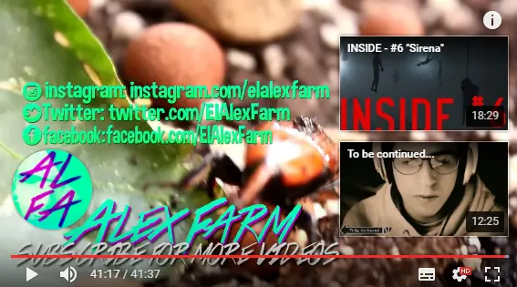 rutina youtube