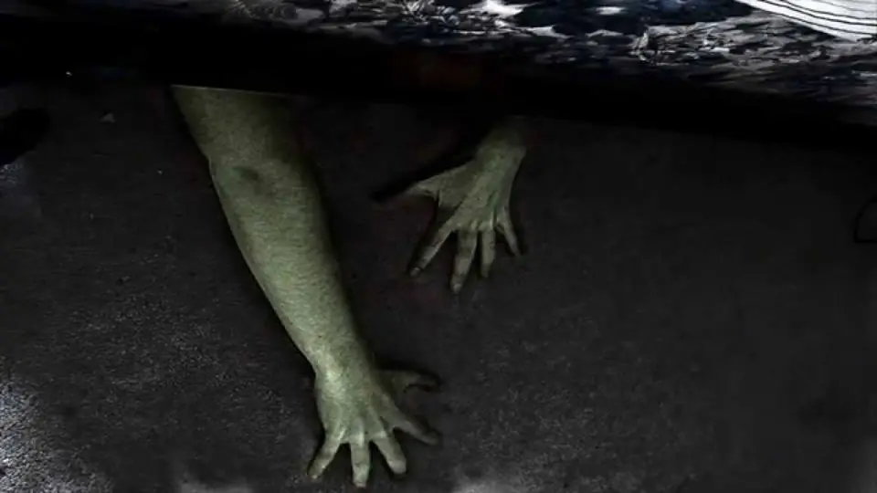 Taringa Paranormal (Historias de terror reales, Vol 5)