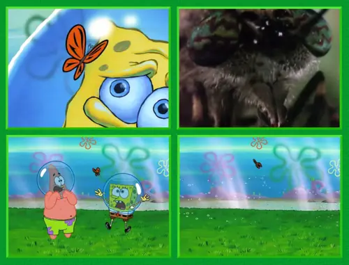 bobesponja bobesponja