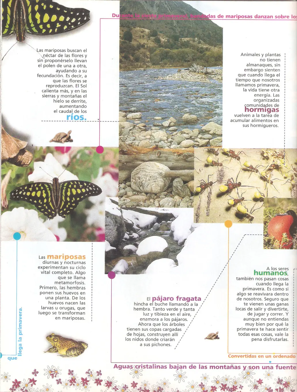 revista billiken