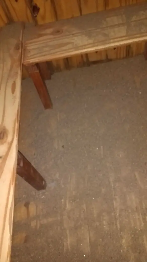 Encontramos una virgocueva y te lo muestro Encontramos una virgocueva y te lo muestro