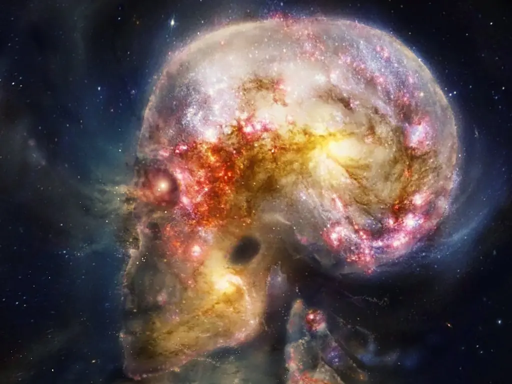 cerebro